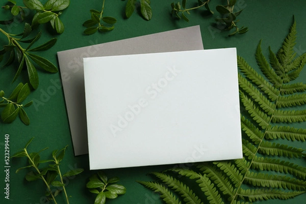 Obraz Blank card and  green plants