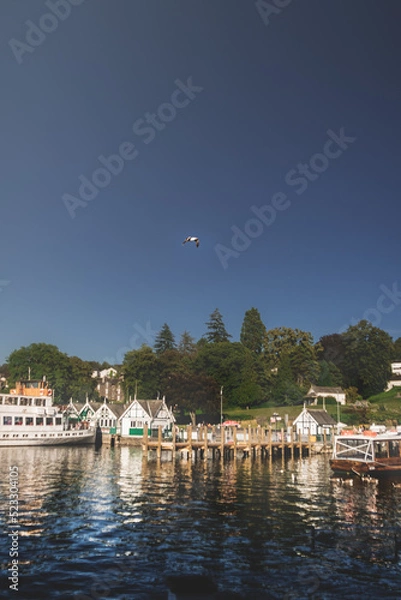 Obraz Bird flying overhead