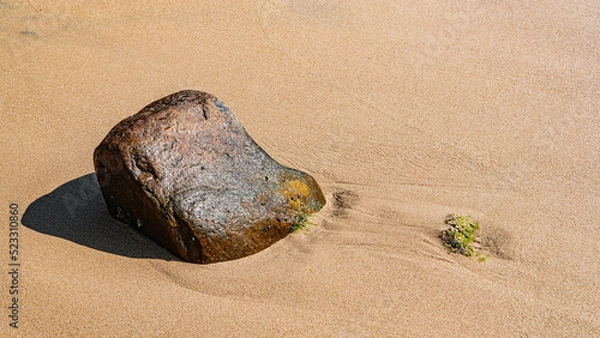 Fototapeta Wet stone on a sandy beach