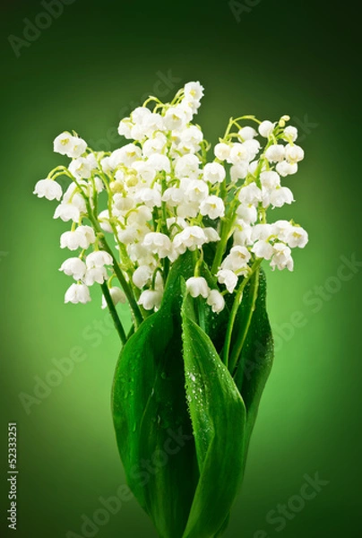 Obraz Bukiet białych konwalii