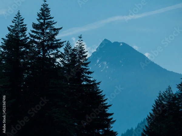 Fototapeta mountain behind trees