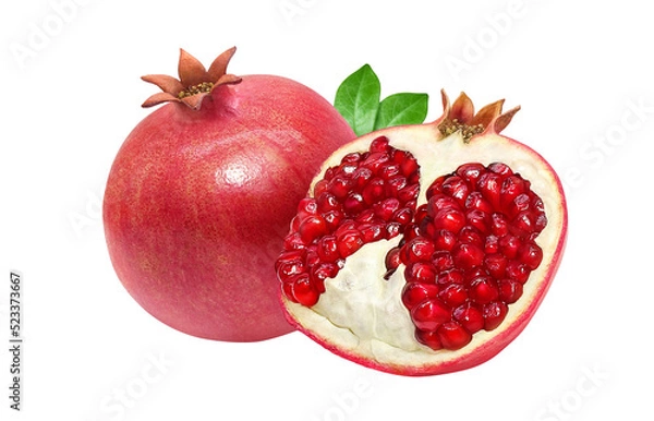 Fototapeta ざくろ 柘榴 イラスト リアル セット