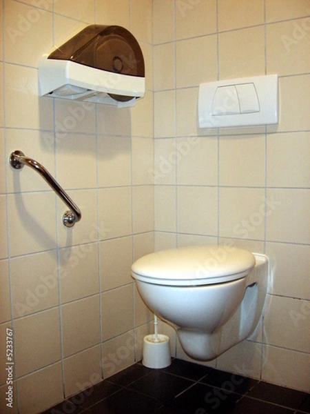 Obraz wc handicapé