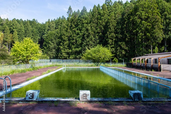 Obraz 使われなくなった小学校のプール