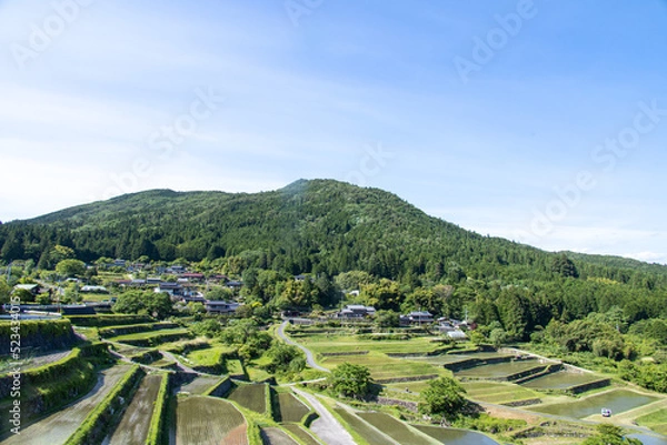 Obraz 田植えの済んだ棚田の眺め