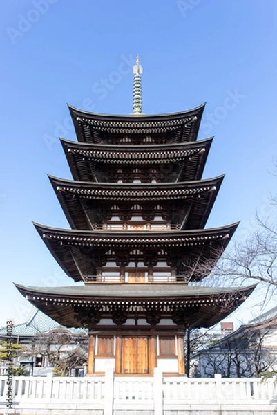 Obraz 青空を背景に建つ寺院の五重塔
