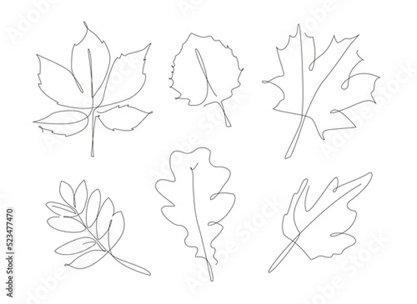 Fototapeta Forest leaves one line set. Autumn leaf linear collection. Simple outline leaves.