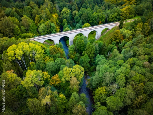 Obraz River flowing under bridge in forest