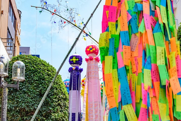 Fototapeta 仙台七夕
