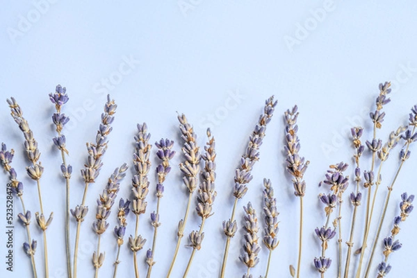 Fototapeta Composition of lavender stems on light blue background. Flat lay, copy space