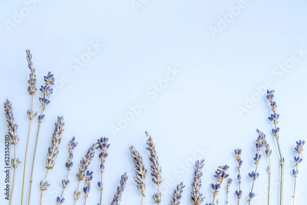 Fototapeta Composition of lavender stems on light blue background. Flat lay, copy space