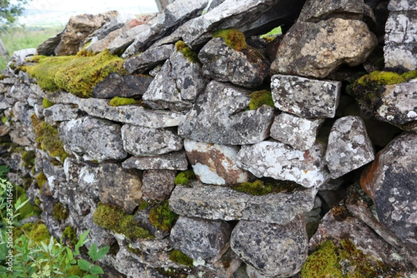 Obraz Yorkshire Dry Stone wall 