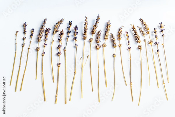 Fototapeta Dried lavender stems on white background. Table top view, flat lay