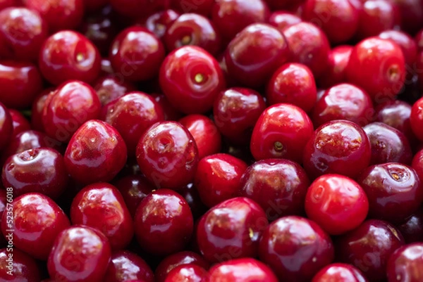 Obraz Cherry background. Cherry top view. Sour cherry flat design. Fruit macro.