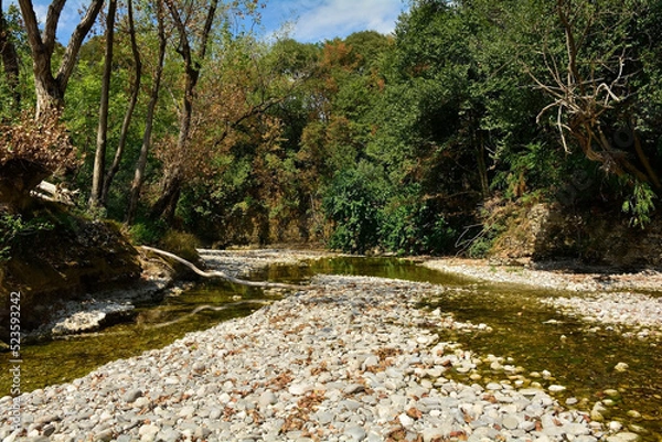 Fototapeta The Natisone river during the 2022 drought as it flows through the north east Italian village of Premariacco, Udine Province, Friuli-Venezia Giulia. Normally a very busy swimming spot during the summe