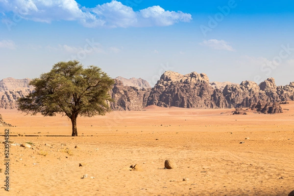Obraz Desierto Wadi Rum