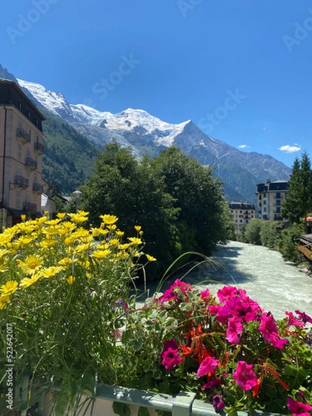 Obraz Arve River through Chamonix