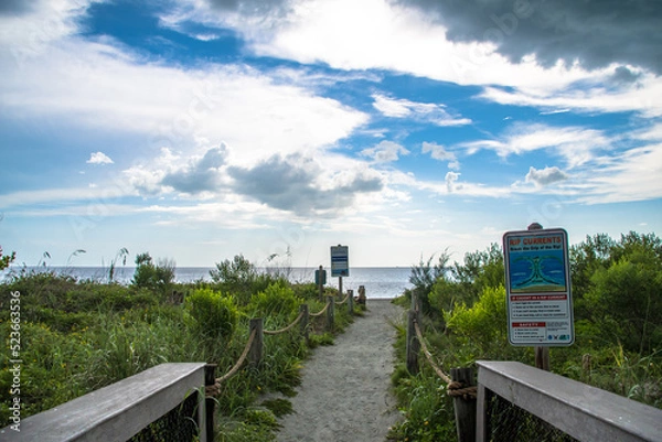 Obraz Path along the sea oat grass, flora and fauna for this southwest Florida beach. Location is Turtle Beach near popular travel tourist destination of Siesta Key. Storm clouds and sunshine illuminate sky