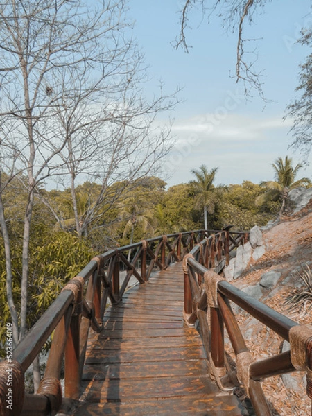 Obraz Tropical wood bridge