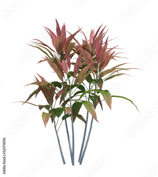 Obraz 3d Render Brush Tree Isolated  on white