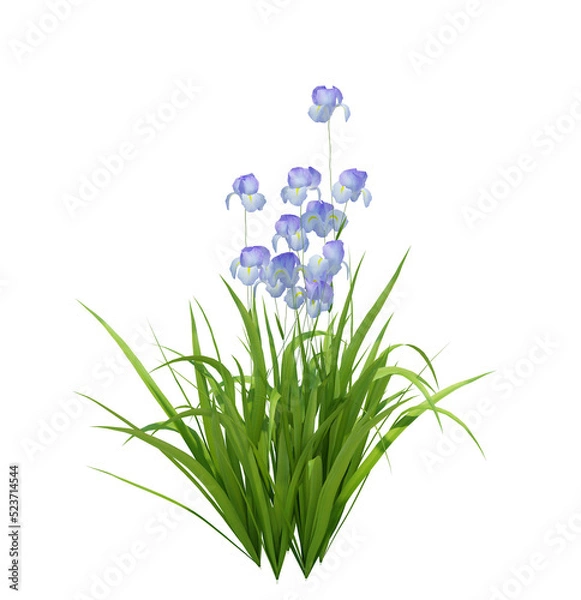 Obraz 3d Render Brush Tree Isolated  on white