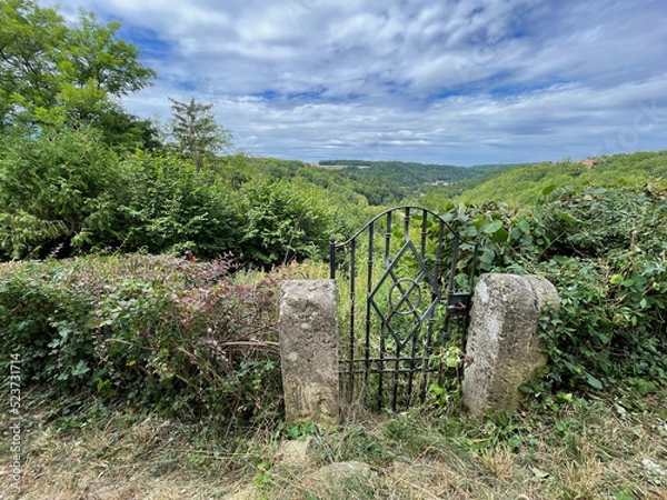Obraz Medieval gate in park