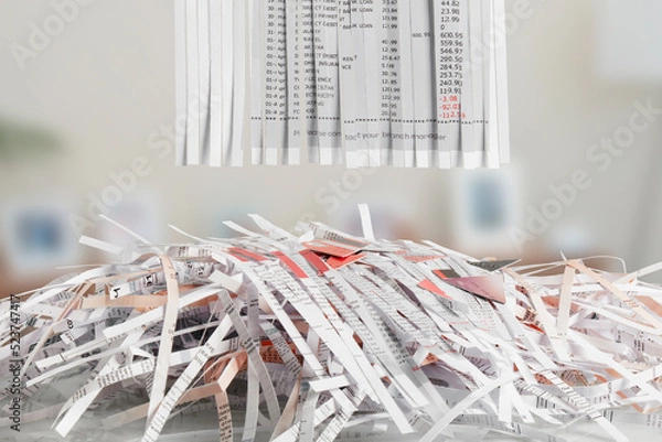 Obraz Shredded Bank Statement showing account in debt