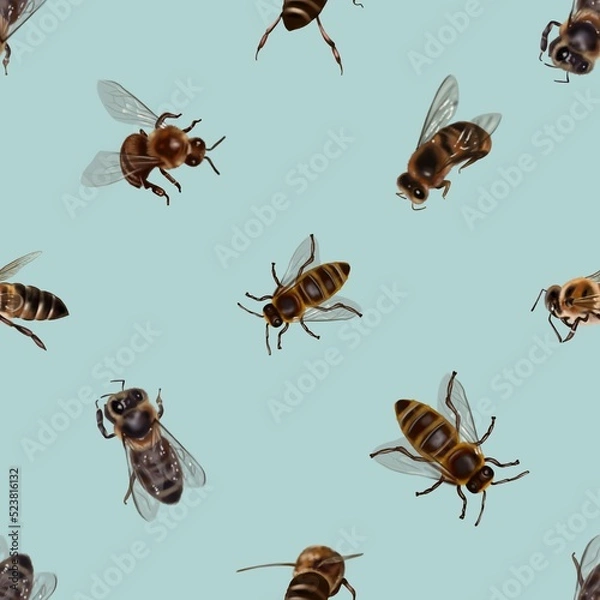 Fototapeta Watercolor seamless pattern of honey bees. Realistic illustration of bees