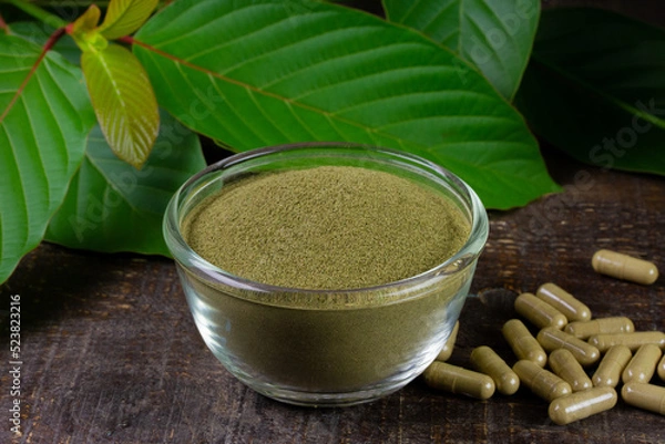 Fototapeta Mitragyna Speciosa Korth or kratom powder on transparent bowl with green leaf and capsules on rustic wooden table. 