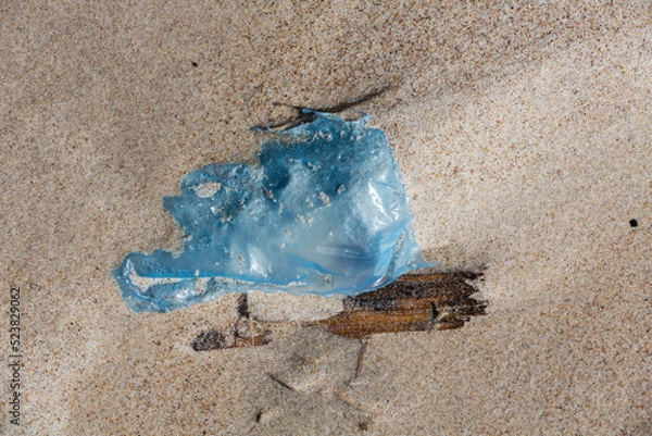 Fototapeta Alien Object on the Beach 19