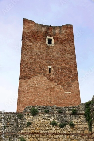 Fototapeta ancient tower ruins of the castle of Juliet in Montecchio in Ita