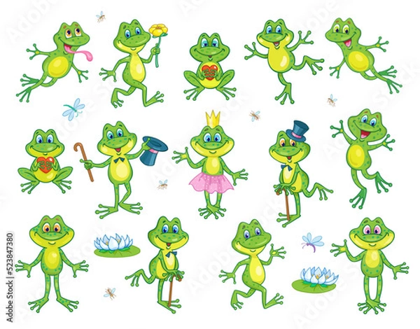 Fototapeta Collection of funny frogs in various poses and situations. In cartoon style. Isolated on white background. Vector illustration