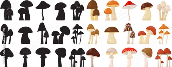 Obraz silhouette mushrooms collection isolated, vector