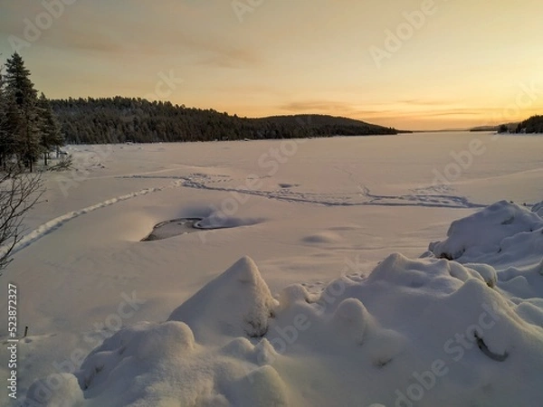 Fototapeta landscape with snow