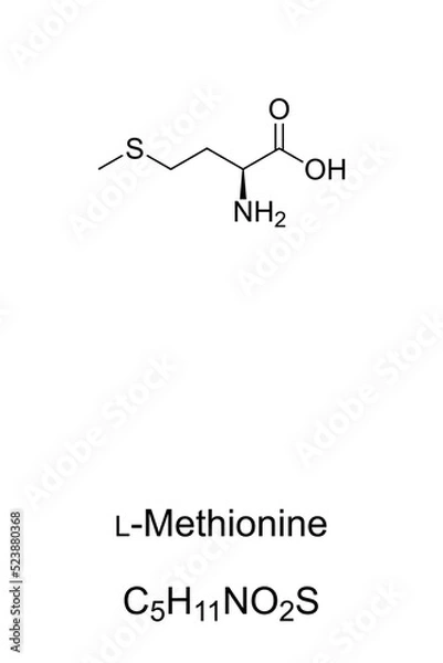 Fototapeta L-Methionine, chemical formula and skeletal structure. Essential amino acid in humans. Plays a critical role in metabolism and health. Important part of angiogenesis, the growth of new blood vessels.