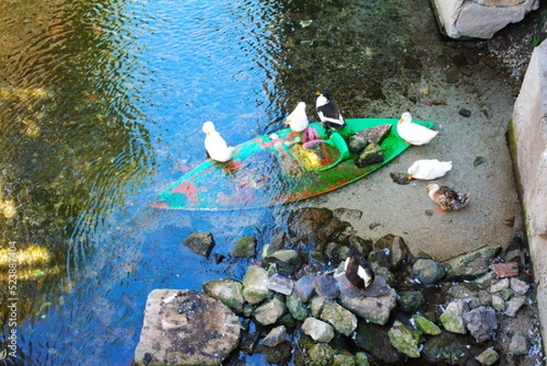 Obraz canoeing pleasure