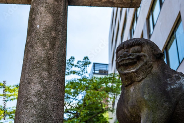 Fototapeta 夏の狛犬