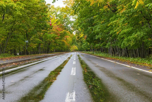 Fototapeta 足湯前の屈斜路摩周湖畔線「秋の北海道」