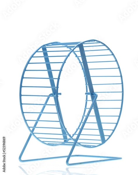 Obraz Niebieskie koło chomika