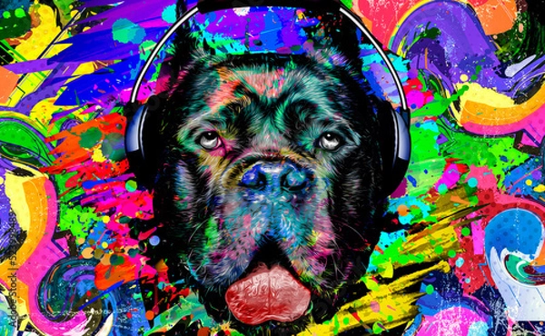 Obraz abstract colored dog muzzle isolated with headphone on colorful background color art