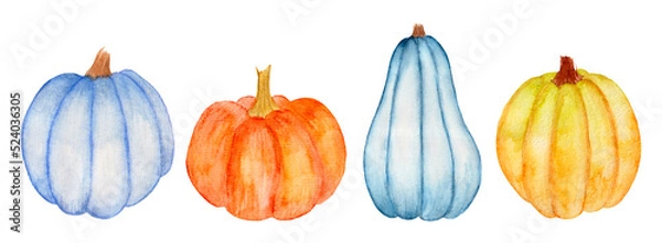 Fototapeta Watercolor collection of various pumpkins isolated on white background. Elements for harvest, thanksgiving, halloween.