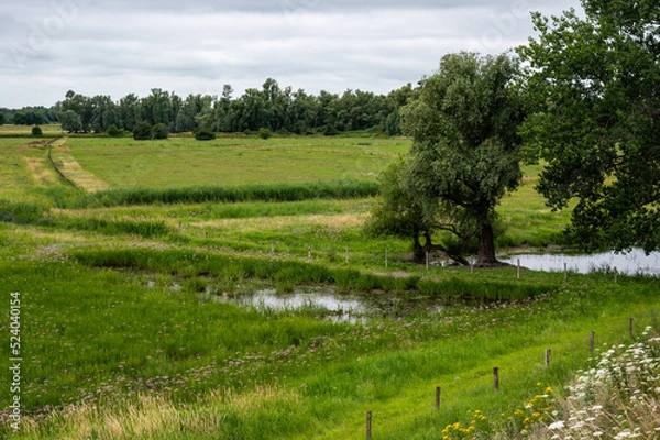 Fototapeta View over the natural floodplain with agriculture field and wetland around Ochten