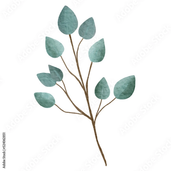 Obraz leaves isolated on white