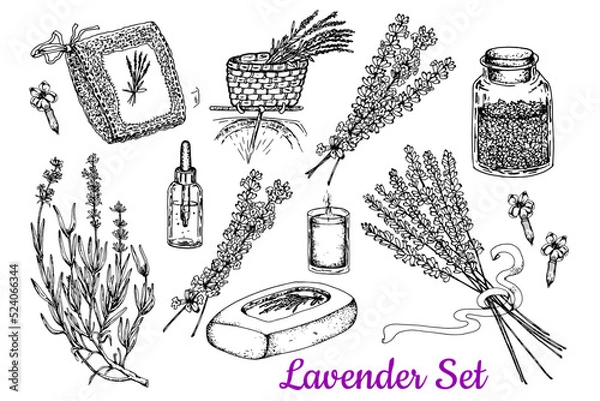 Fototapeta Lavender set. Black and white sketch. Hand drawn set.Isolated  white background. Template for design of Spa, Wellness.Stock vector illustration.Packaging and labels for household goods, spa, medical 