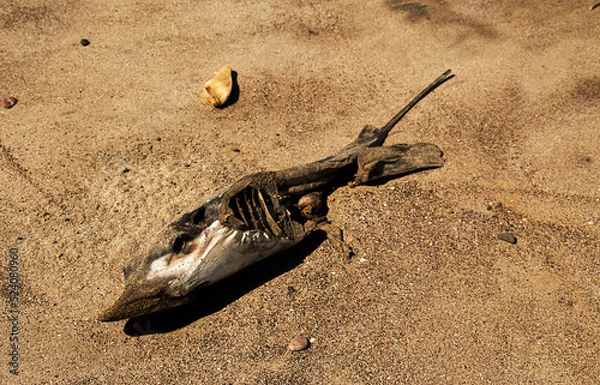 Obraz changing the element