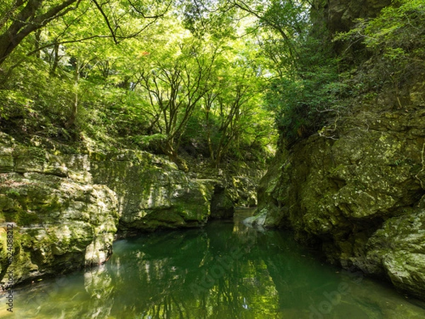 Fototapeta 愛媛県砥部町　仙波渓谷の風景