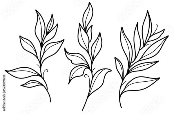 Fototapeta Leaf branch editable outline black and white vector SVG line art