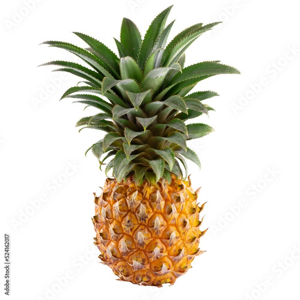 Obraz Ripe pineapple fruit  isolated on alpha background