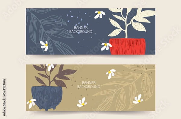 Obraz beautiful floral banners backgrounds eight