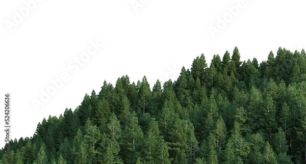 Fototapeta Coniferous forest on a transparent background
